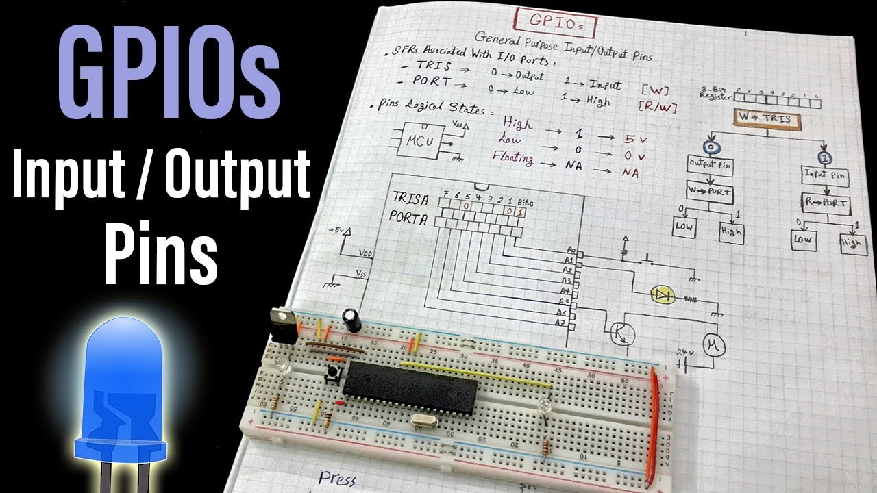 Blinking LED GPIOs LAB1