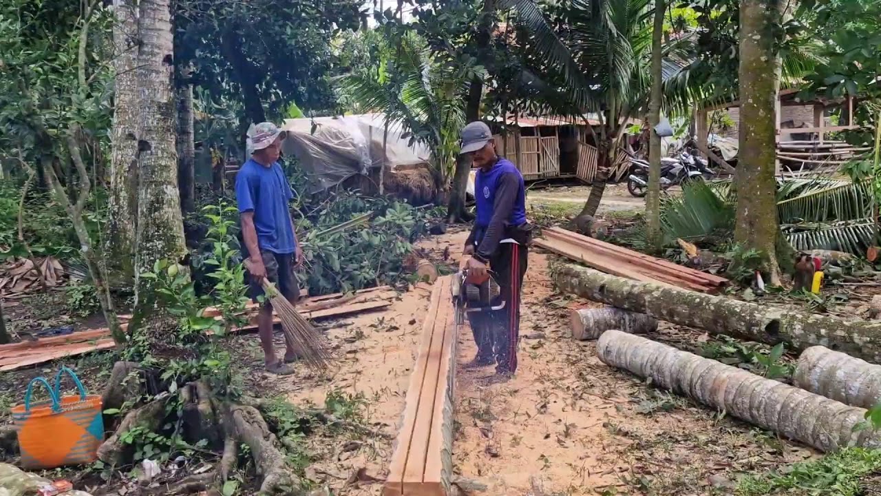 A CLEVER TRICK USING A MODERN SAW MACHINE TO QUICKLY PEEL THE BARK OFF A COCONUT TREE! - Agriculture