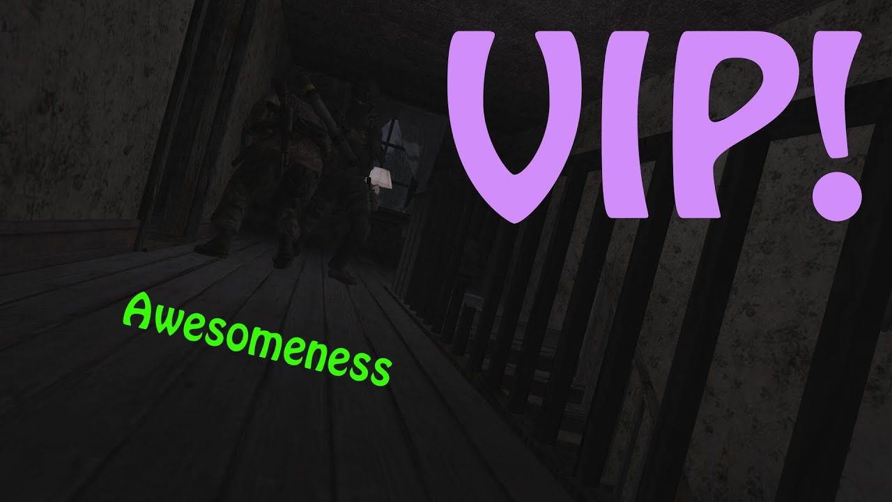Call of Duty 4: Custom Campaign - VIP!