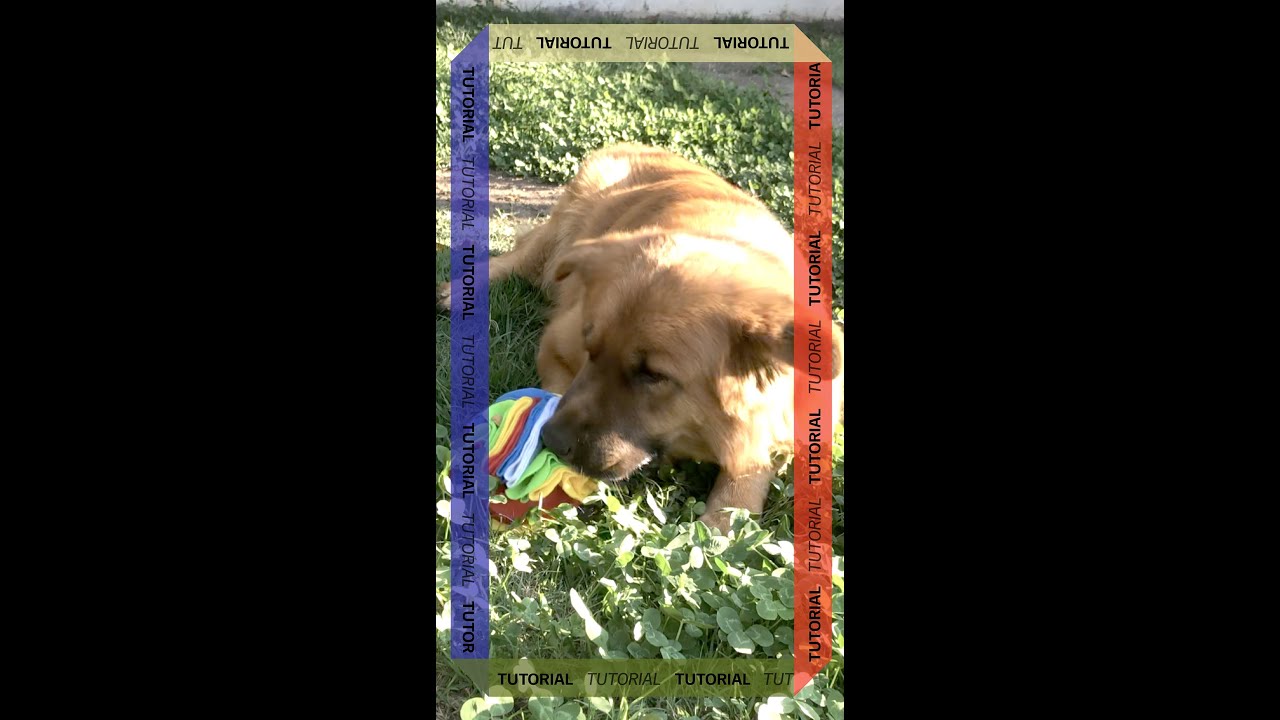 #Tutorial: Pelota olfativa