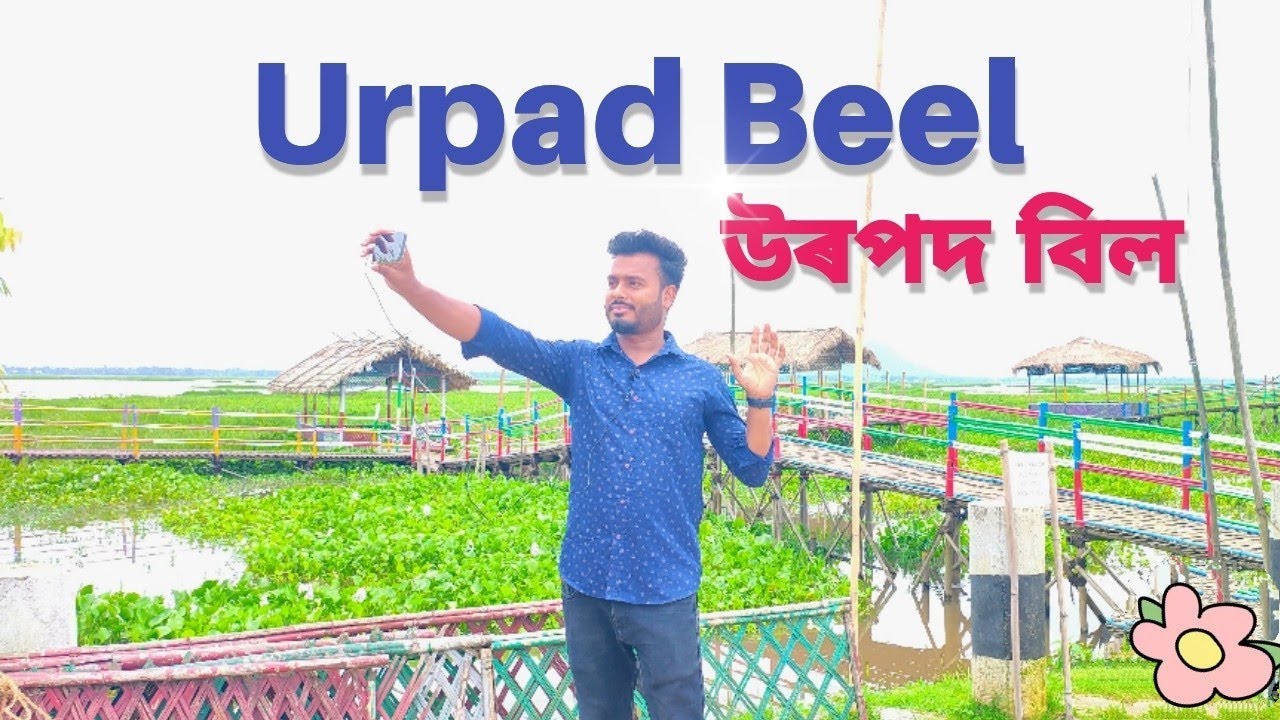 Urpad beel goalpara ।। urpad beel ।। উৰপদ বিল ।। JD Vlogs