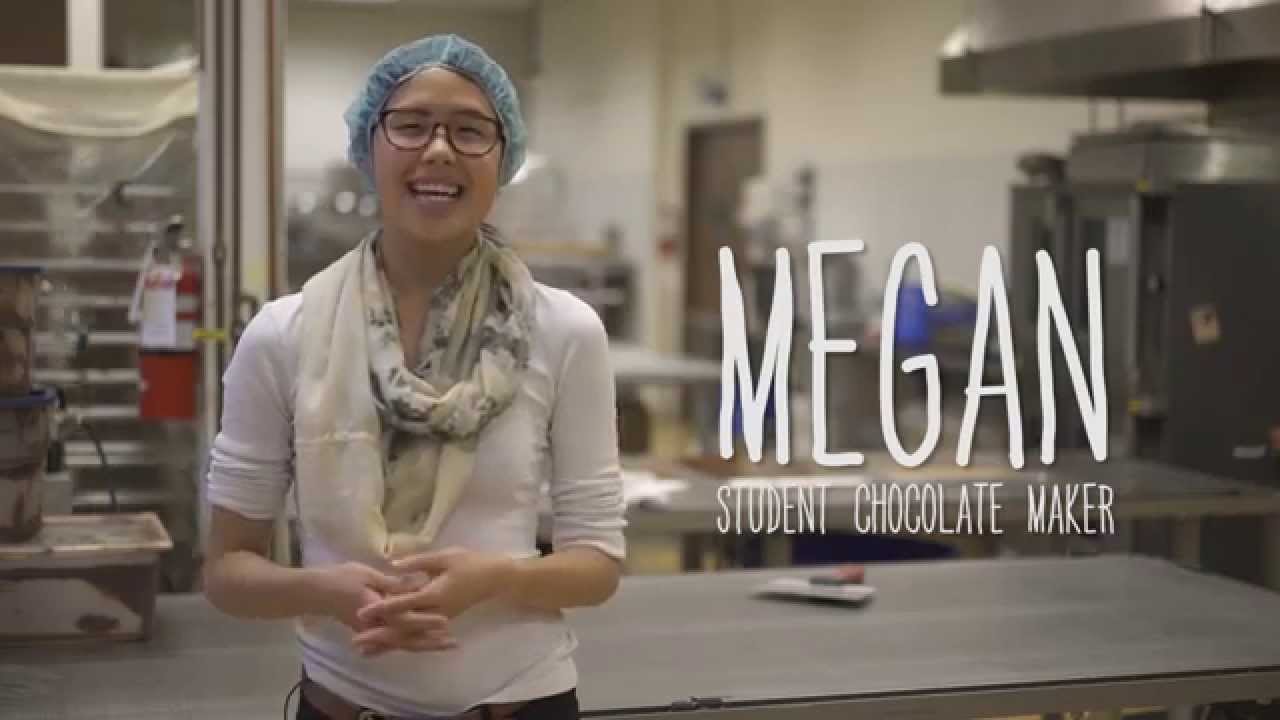 Unplugged - Real-Life Algorithms: Paper Airplanes