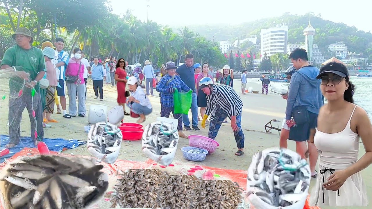 Vừa tỏa sáng gió bắt lạnh như đá mấy chú kéo lưới cá đối || lưới cá chích vào bờ bãi trước vũng tàu