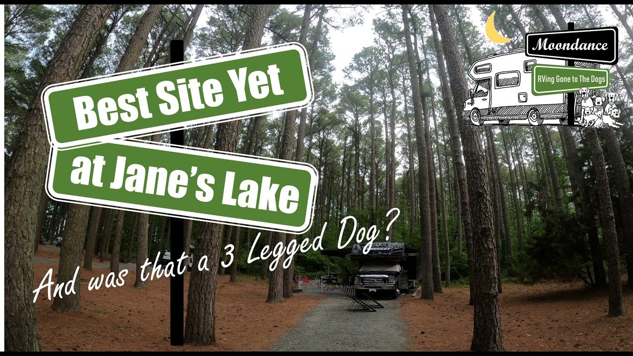 Best Site Yet at Jane's Island, and was that a 3 Legged Dog?
