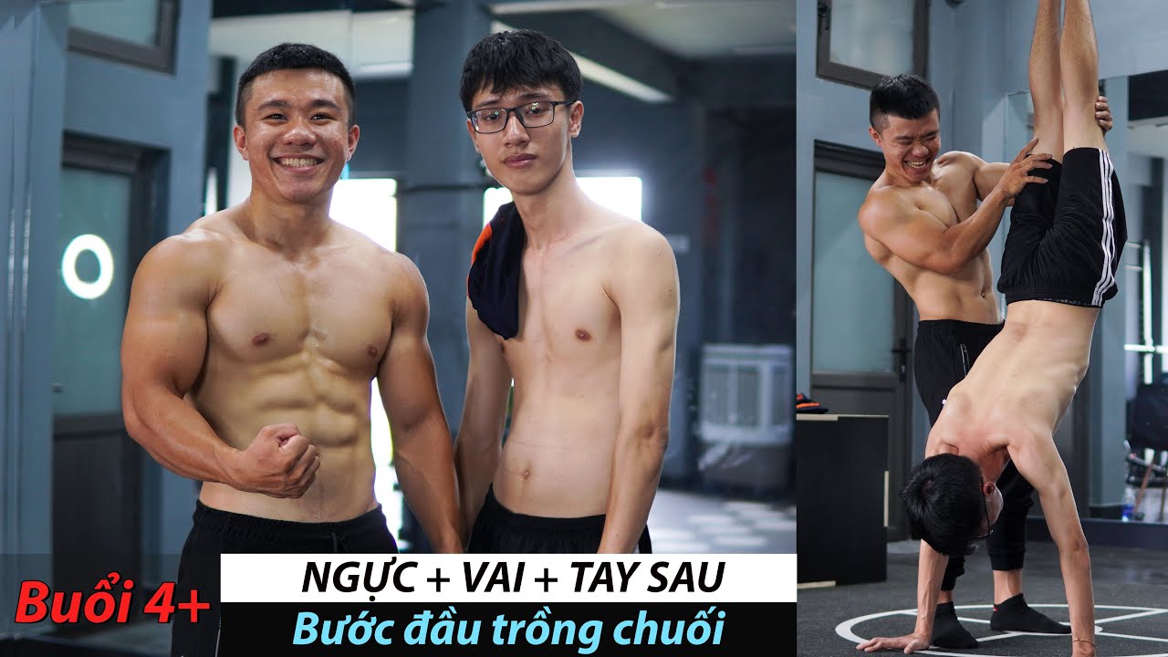 SERIES 30 BUỔI CHO NGƯỜI MỚI | Buổi 4+ : Buổi Tập NGỰC- VAI-TAY SAU [Khi Đã Hít Đất Trên 15 Rep]