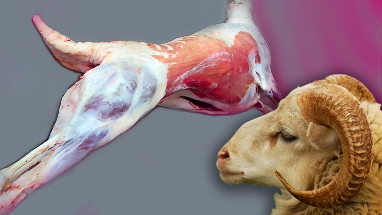 Разделка баранины. Весь процесс от целой туши до прилавка