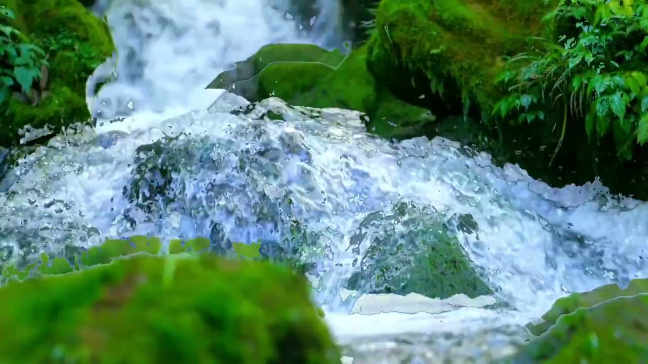 This Beautiful Nature + Music Will Relax Your Mind 🌿🎶 #nature #naturebeauty #relaxingmusic 