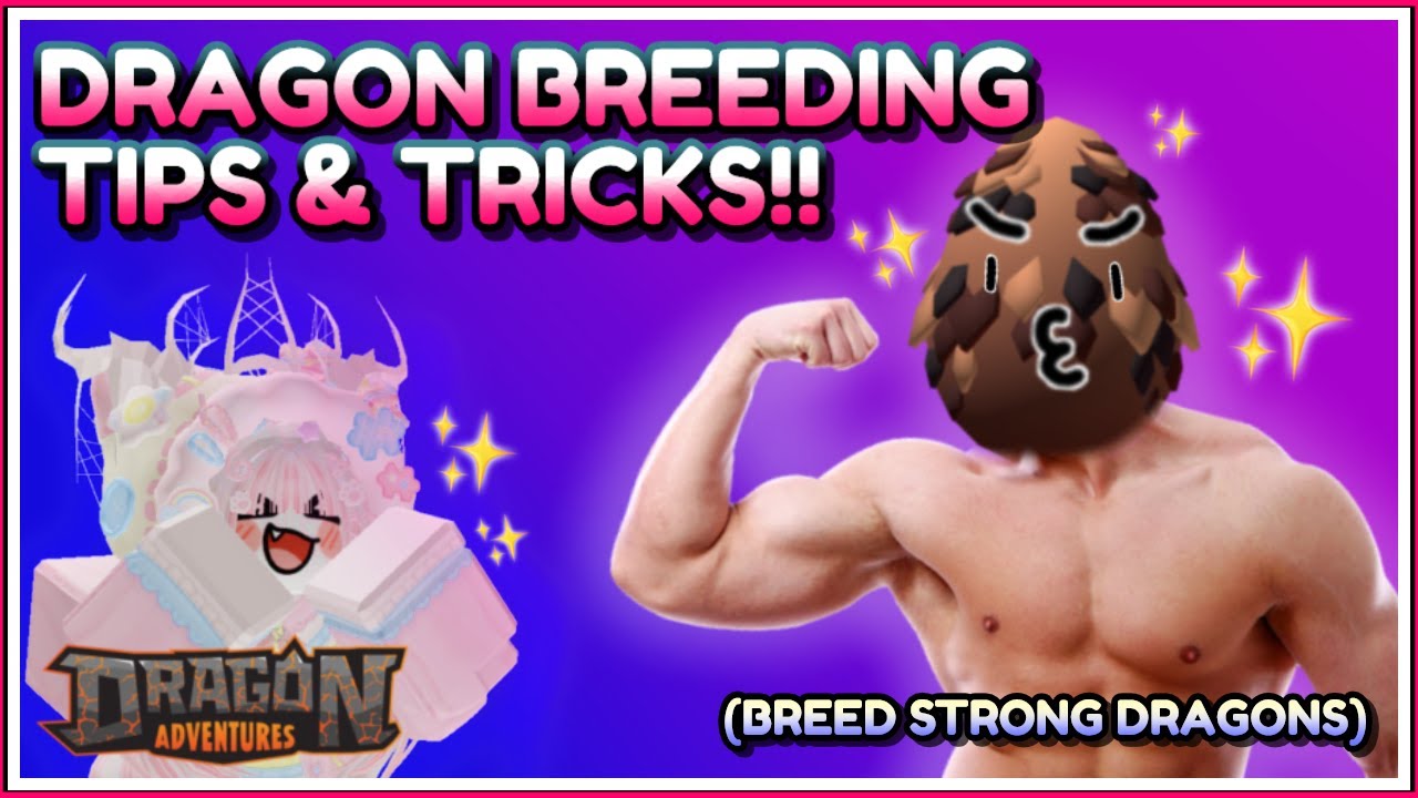 🐣 DRAGON BREEDING EXPLAINED 🐉 |Roblox Dragon Adventures Tips