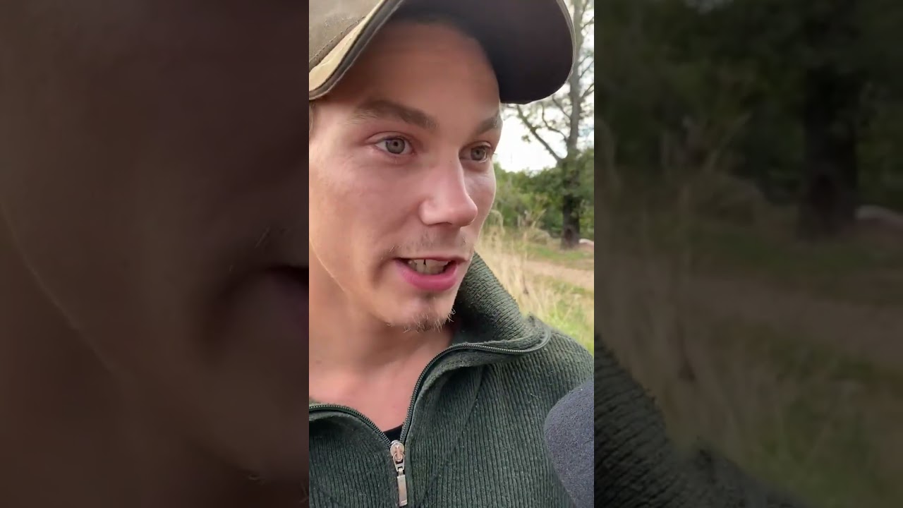 DES COCHONS HEUREUX ÉLEVÉS EN PLEIN AIR.