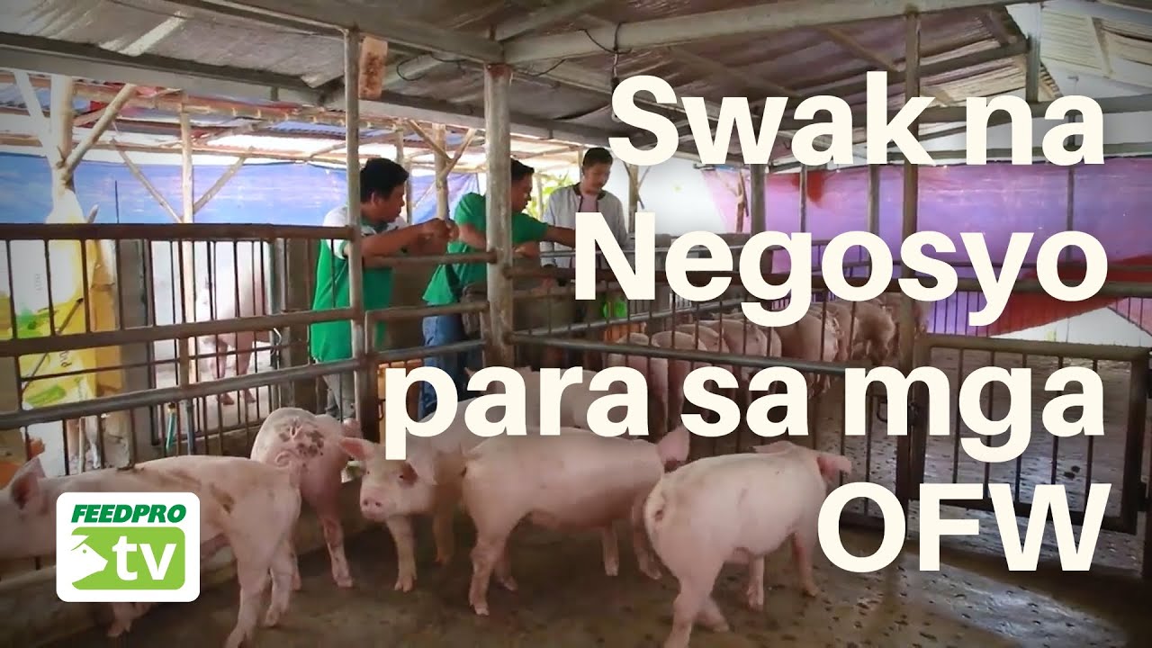 Swak na Negosyo para sa mga OFW