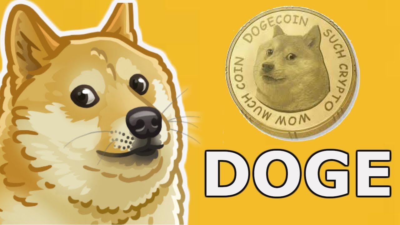 Dogecoin (DOGE): The Meme Who Turned Into A Crypto
