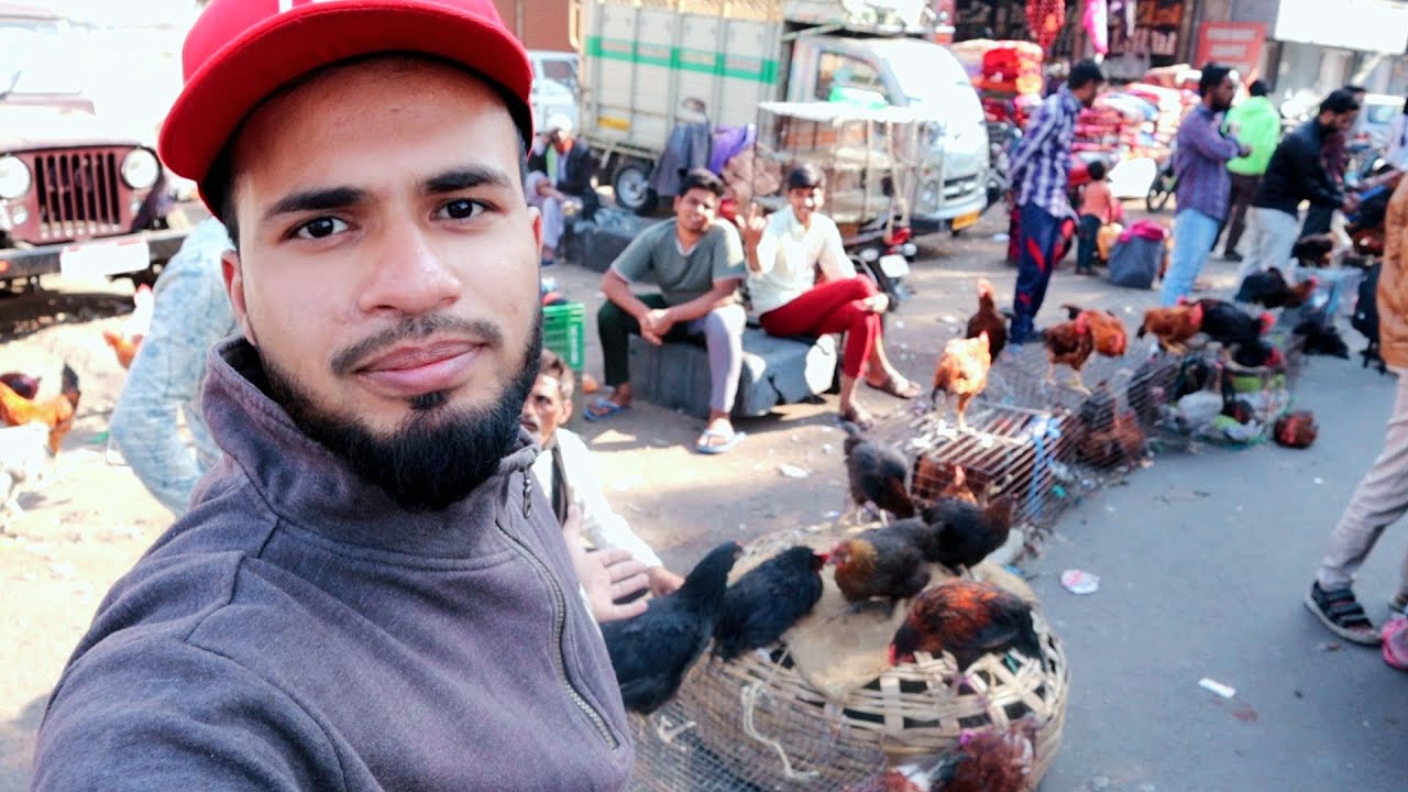 Bhopal Murgi Bazar Vlog - AL Aamir Khan