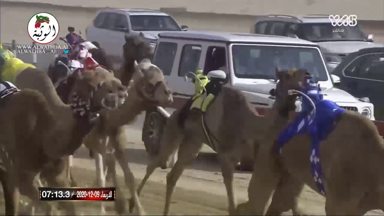 الشوط 1(ابابيل) لـ محمد راشد بن غدير 12:25:7، جائزة زايد الكبرى 2020/12/9 الوثبه الحول و الزمول