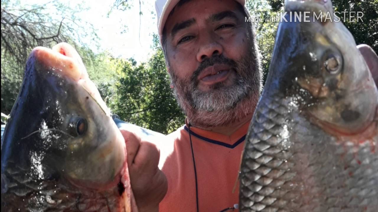 Federal entre rios finde semana con amigos