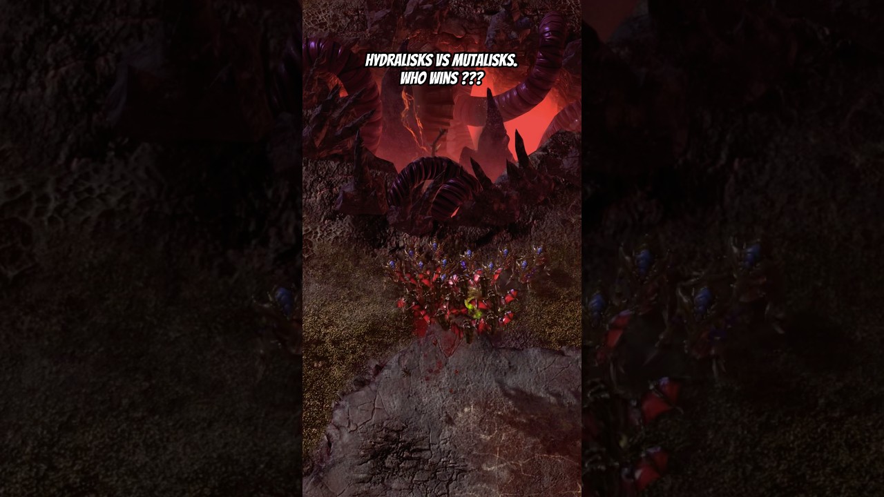 Epic Zerg Face-Off: Hydralisks vs Mutalisks! | Sc2.BattleRumble #rts #starcraft2 #스타크래프트2 #스타크래프트
