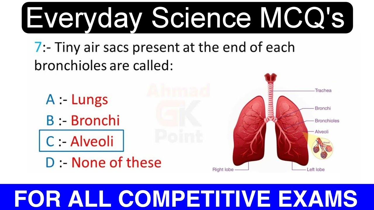 Everyday Science Mcqs | General Science Mcqs | Everyday Science | Ppsc Past Papers MCQS