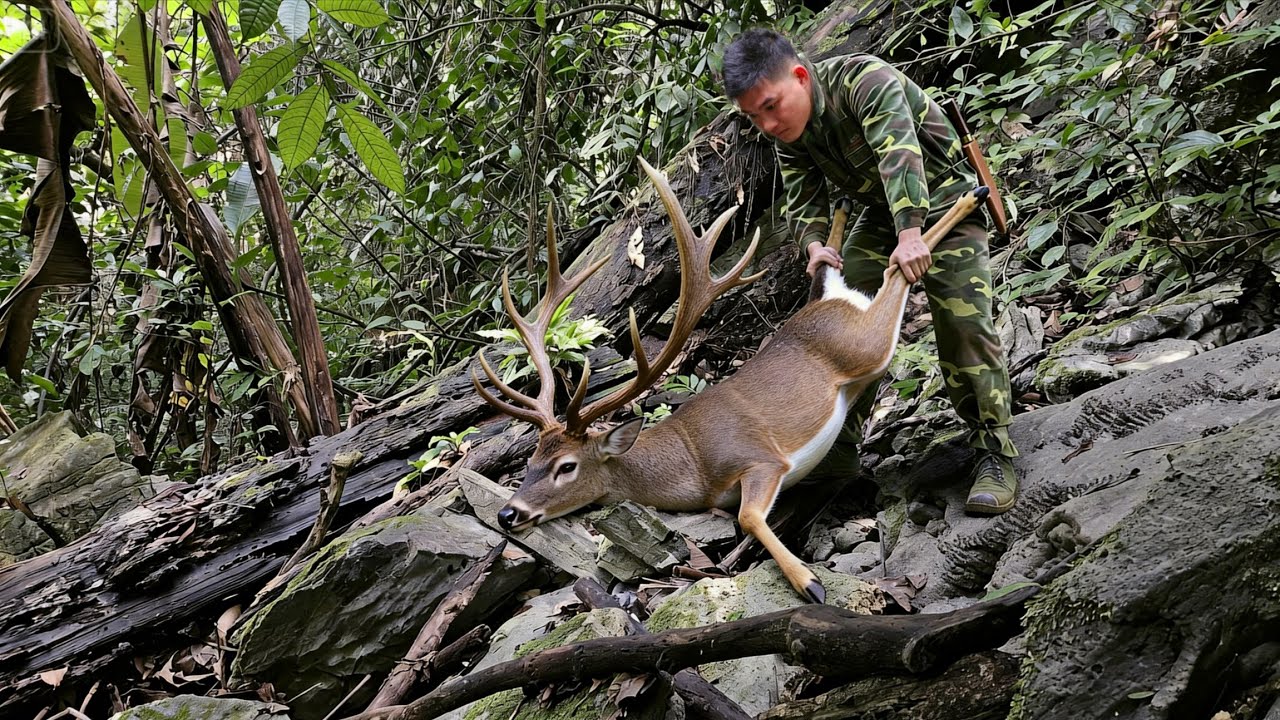 Finding deer tracks, setting traps, cooking, Survival skills