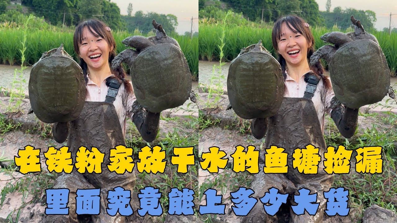 幺妹在铁粉家放干水的鱼塘捡漏，里面究竟能上多少大货？