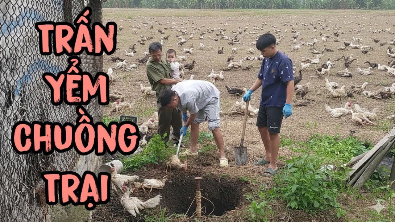 Cực Sốc Khi Chứng Kiến Cảnh Trấn Yểm Của Đội Thợ Xây Táng Tận Lương Tâm Hại Bác Chủ Trại Khốn Đốn