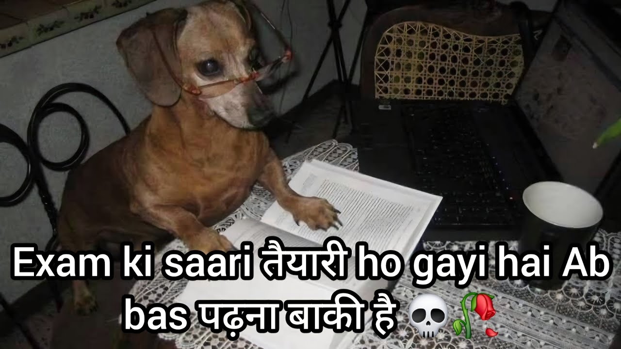 Epic indian meme compilation pt 57