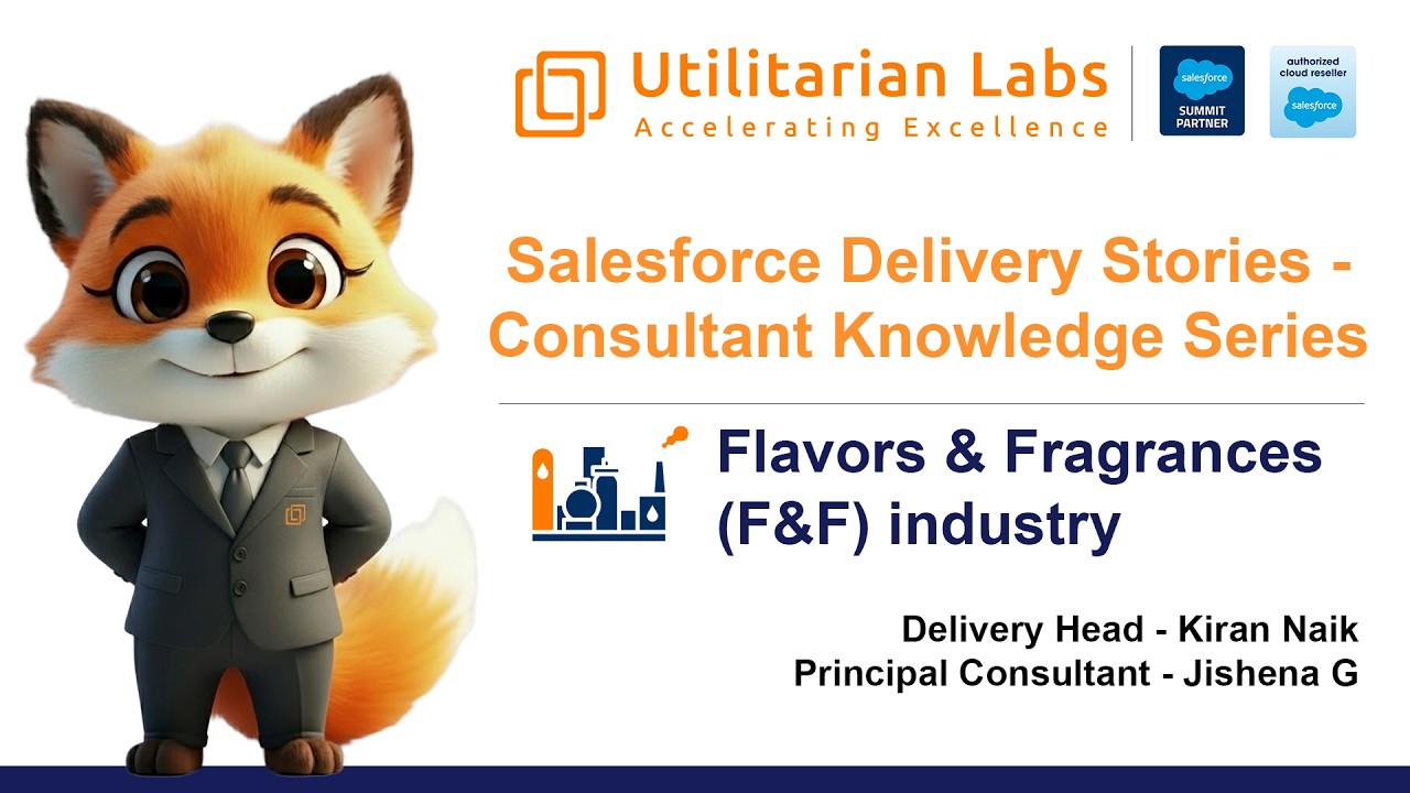 Salesforce Delivery Stories - Consultant Knowledge Series | Utilitarian Labs