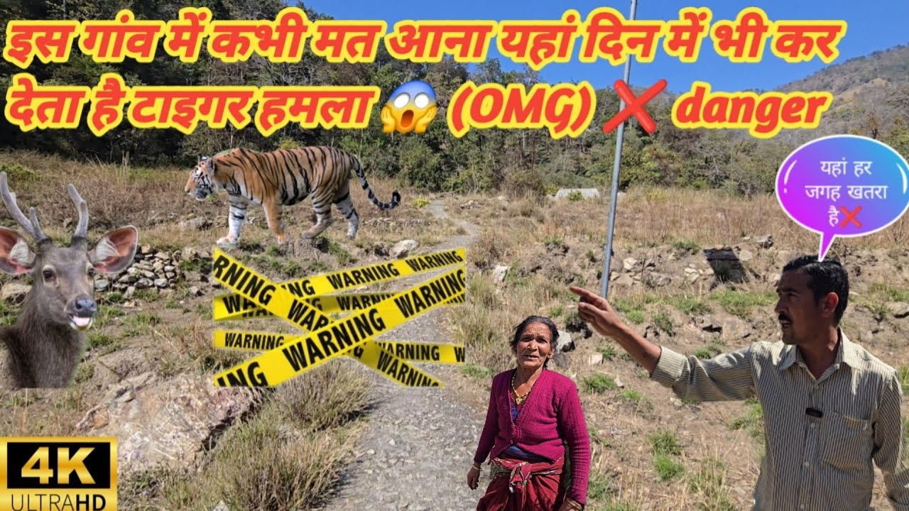 इस गांव में कभी मत आना यहां दिन में भी कर देता है टाइगर हमला 😱 (OMG) ❌️ danger // jim Corbett