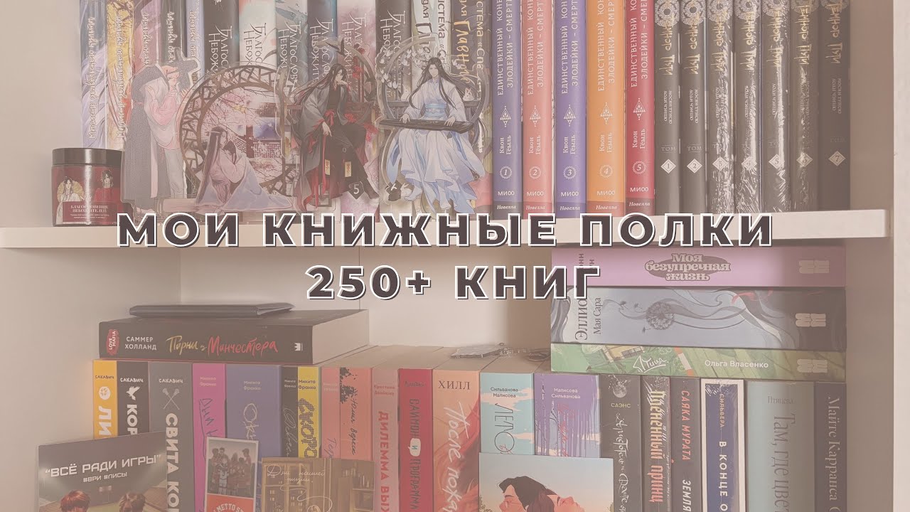 МОИ КНИЖНЫЕ ПОЛКИ | 250+ КНИГ📚