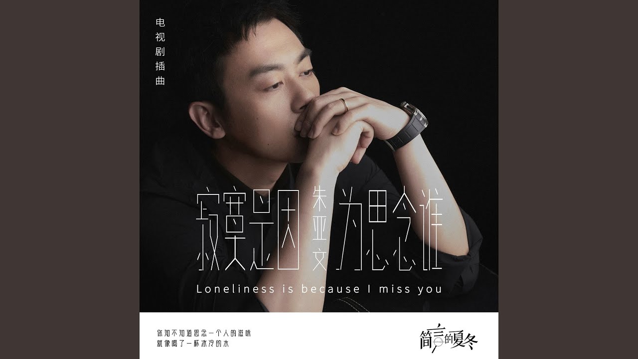 Loneliness is because i miss you (Episode of a TV series Investigator)