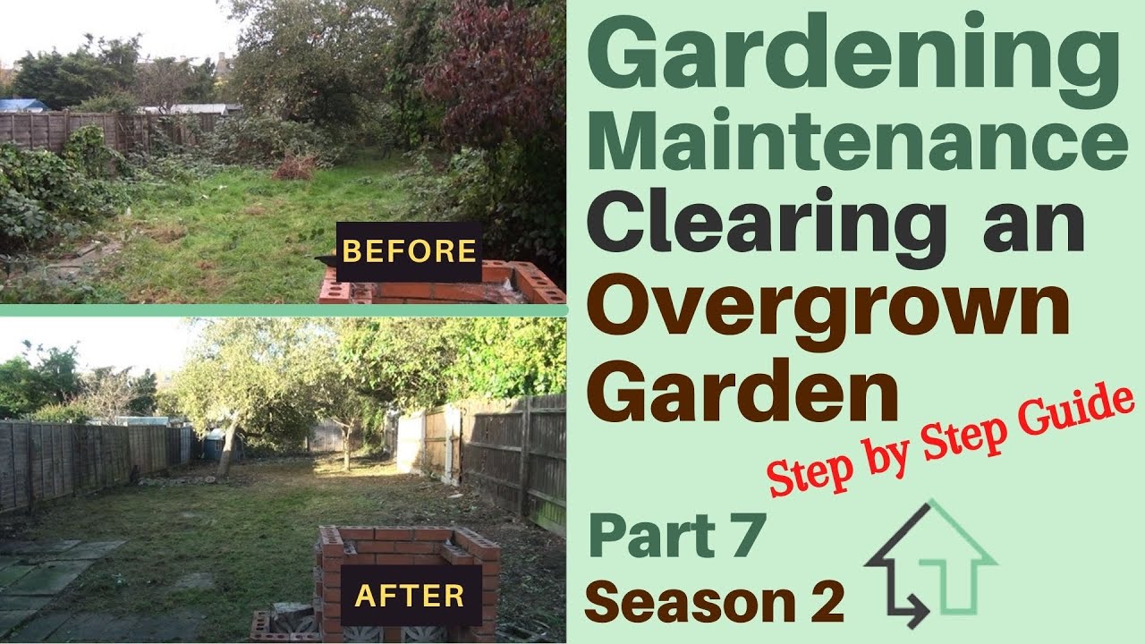 Gardening Maintenance | Clearing and Tidying up an Overgrown Garden | Step by Step Guide