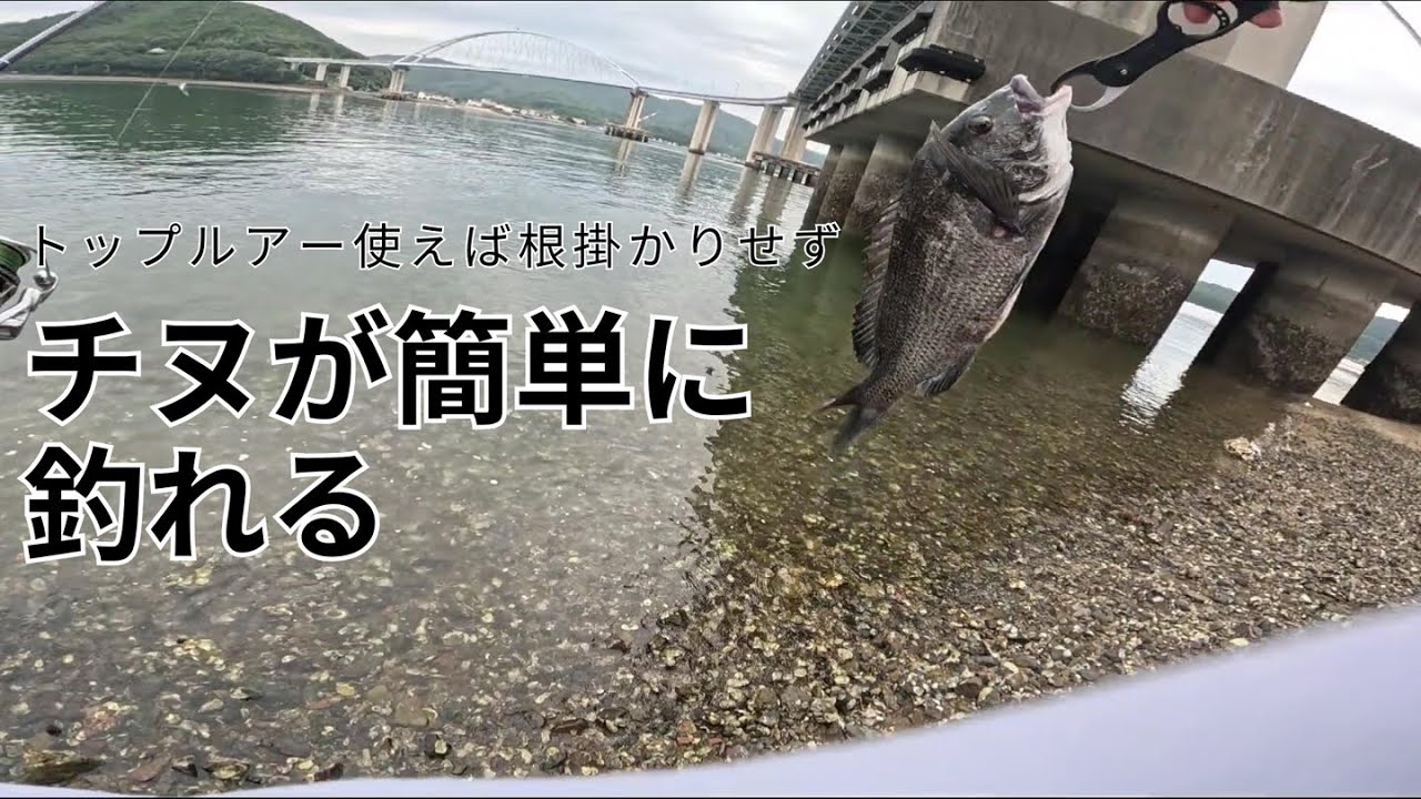 根がかりせずにチニングを楽しむ。ポッパーでもチヌは数釣り出来ます