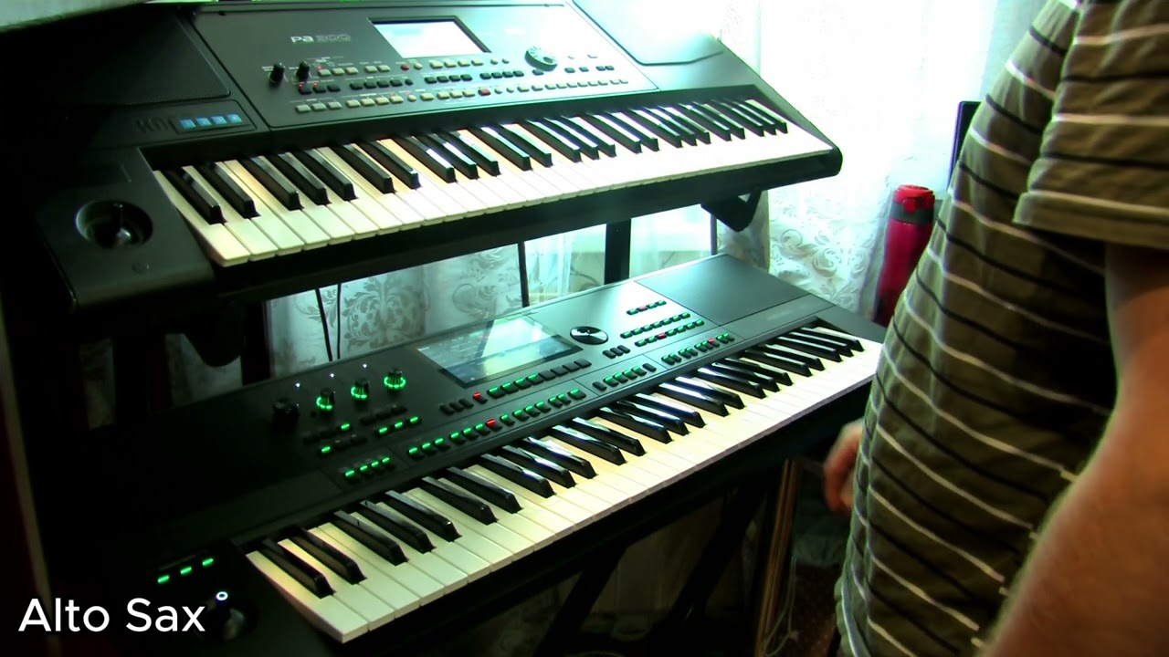 Medeli AKX10 vs Korg PA300
