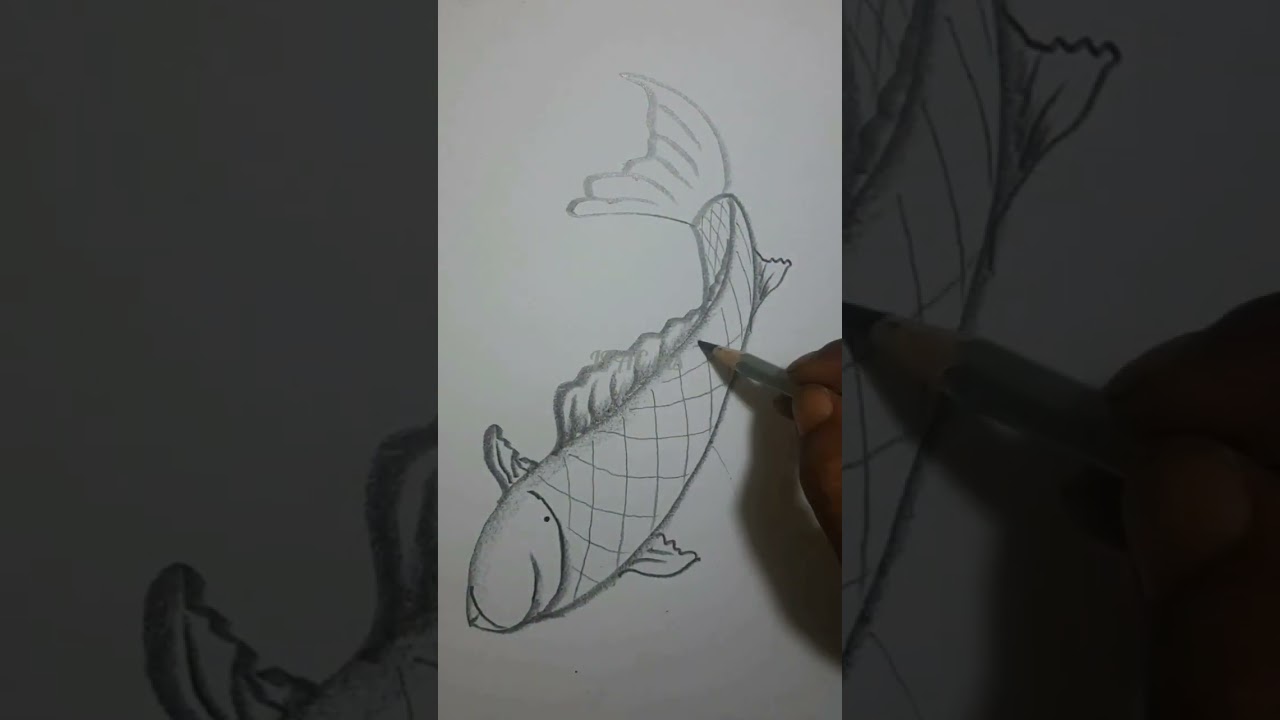 #Fish