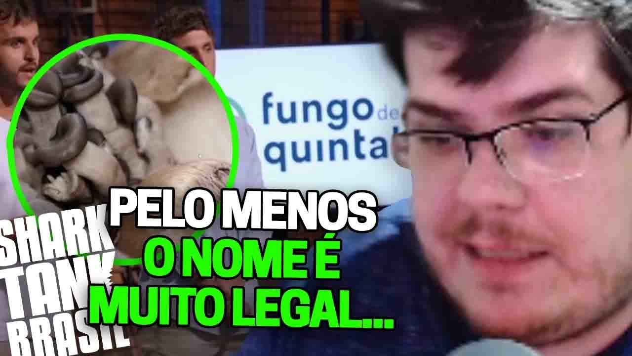 CASIMIRO REAGE: RISADINHAS E COGUMELOS CHEGANDO FORTE NO SHARK TANK BRASIL | Cortes do Casimito