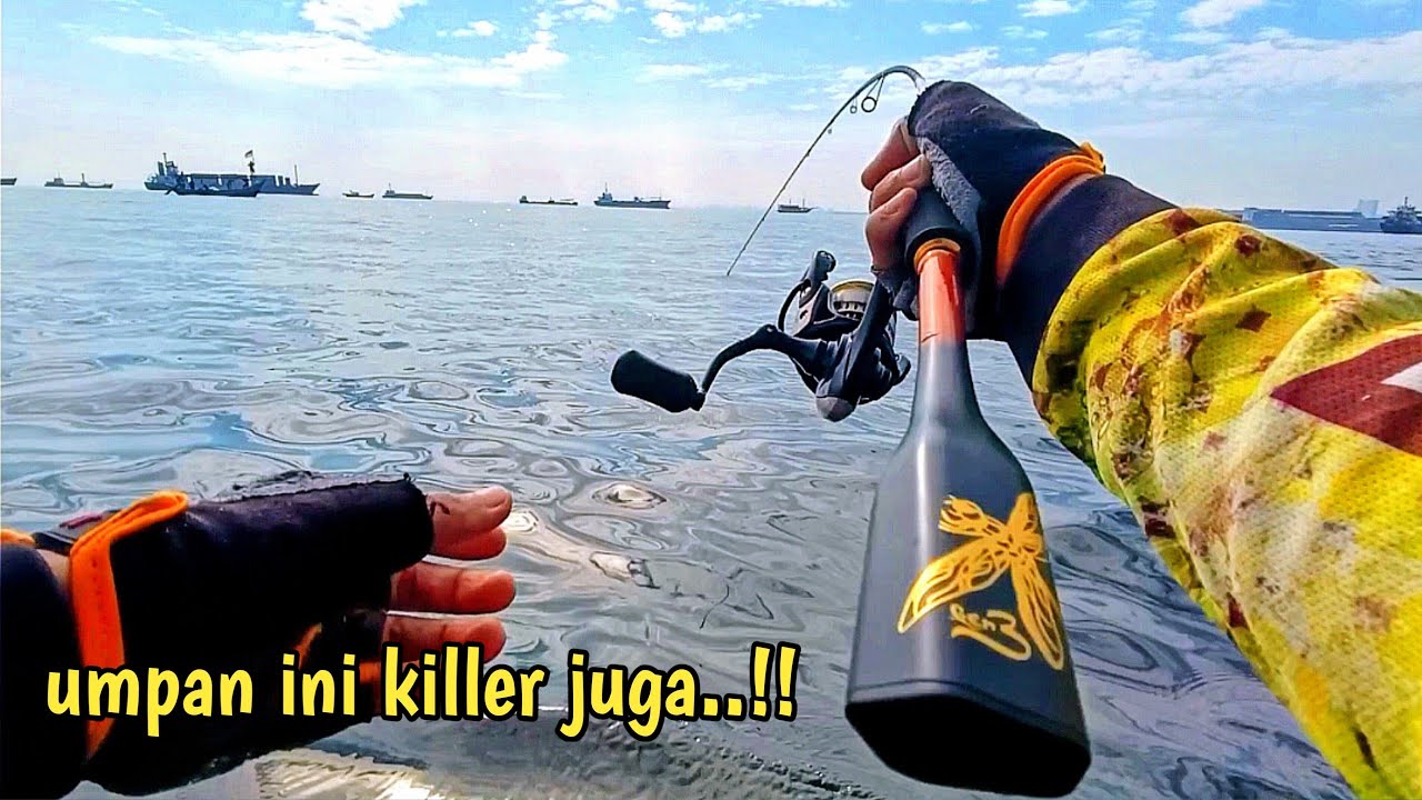 Ini rangkaian dan umpan mancing casting saya di muara baru