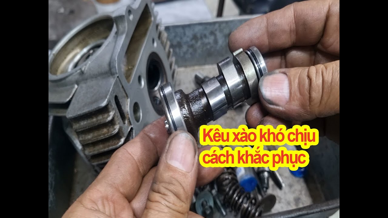 Đầu bò kêu xào khó chịu mình cùng phân tích để khắc phục nó nha Anh Em Minh Thế HonDa
