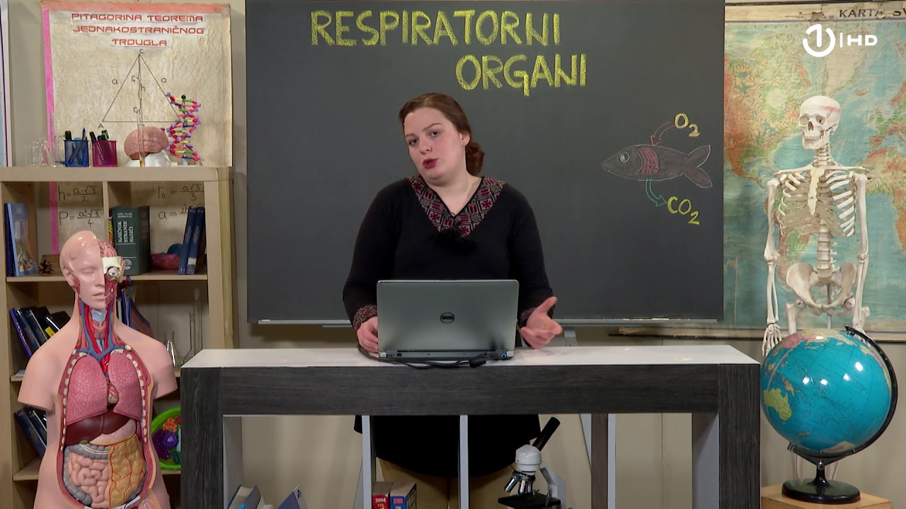 Domaća zadaća za 7. razred: Biologija - Respiratorni sistem