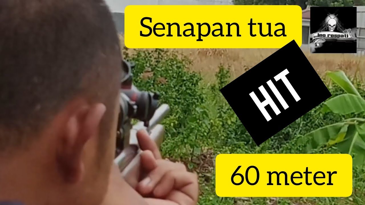Menembak 60 meter dengan Diana mod.50