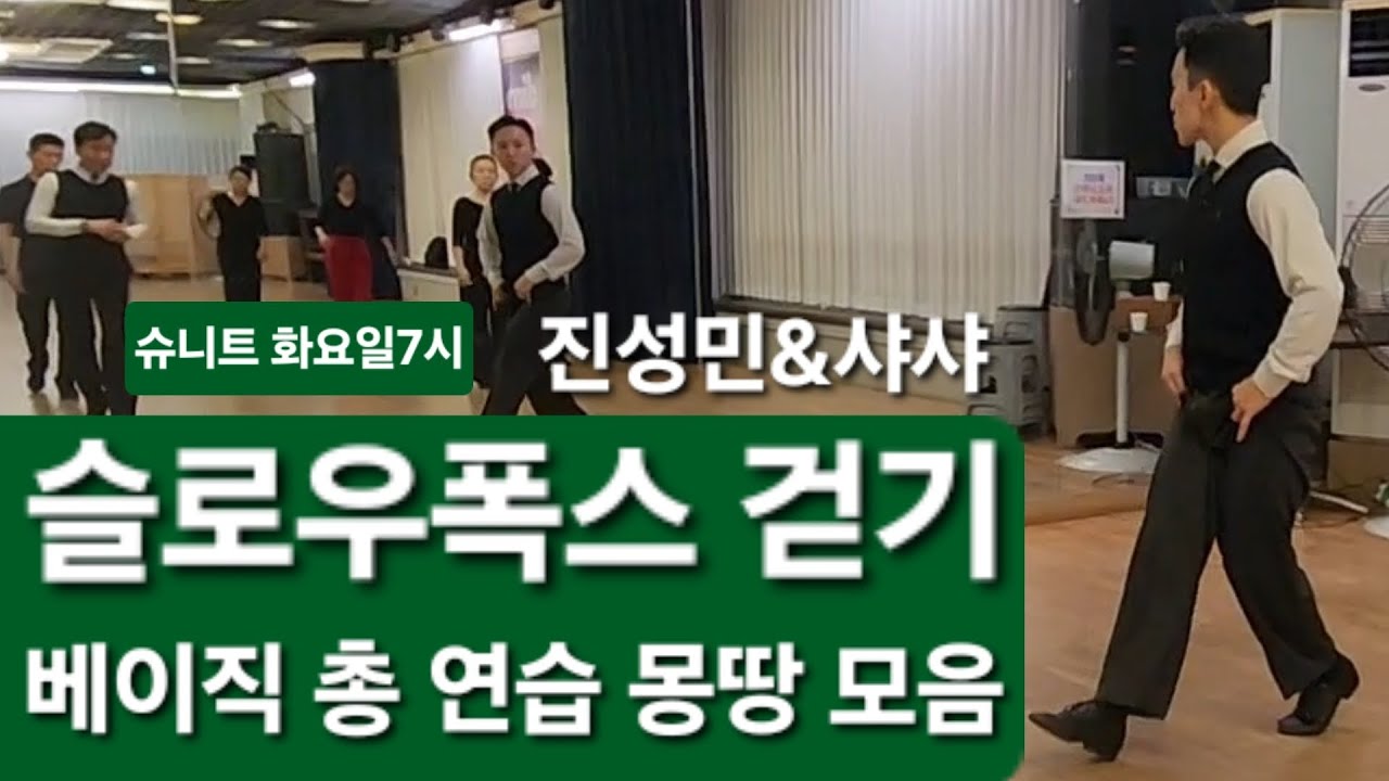 슈니트 출🌈진성민&샤샤 폭스베지직 걷기 전진후진 walk 8회차 선생님과1:1 시연 댄스스포츠 