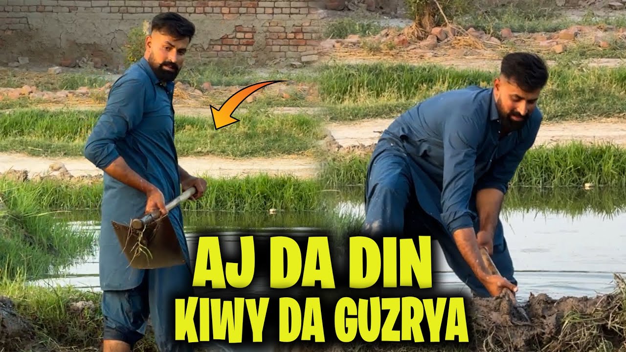AJ DA DIN KIWY DA GUZRYA😏😏