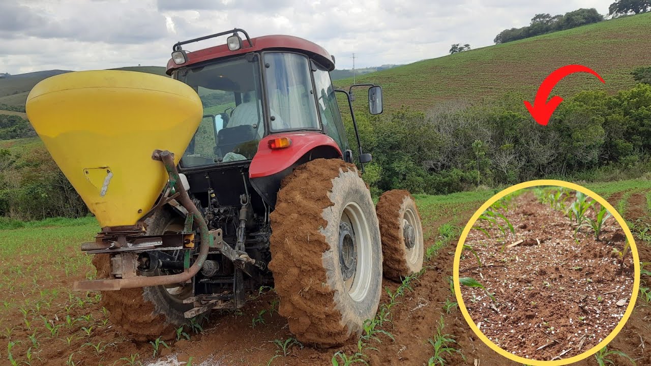 Adubando o milho com trator  🌽🚜