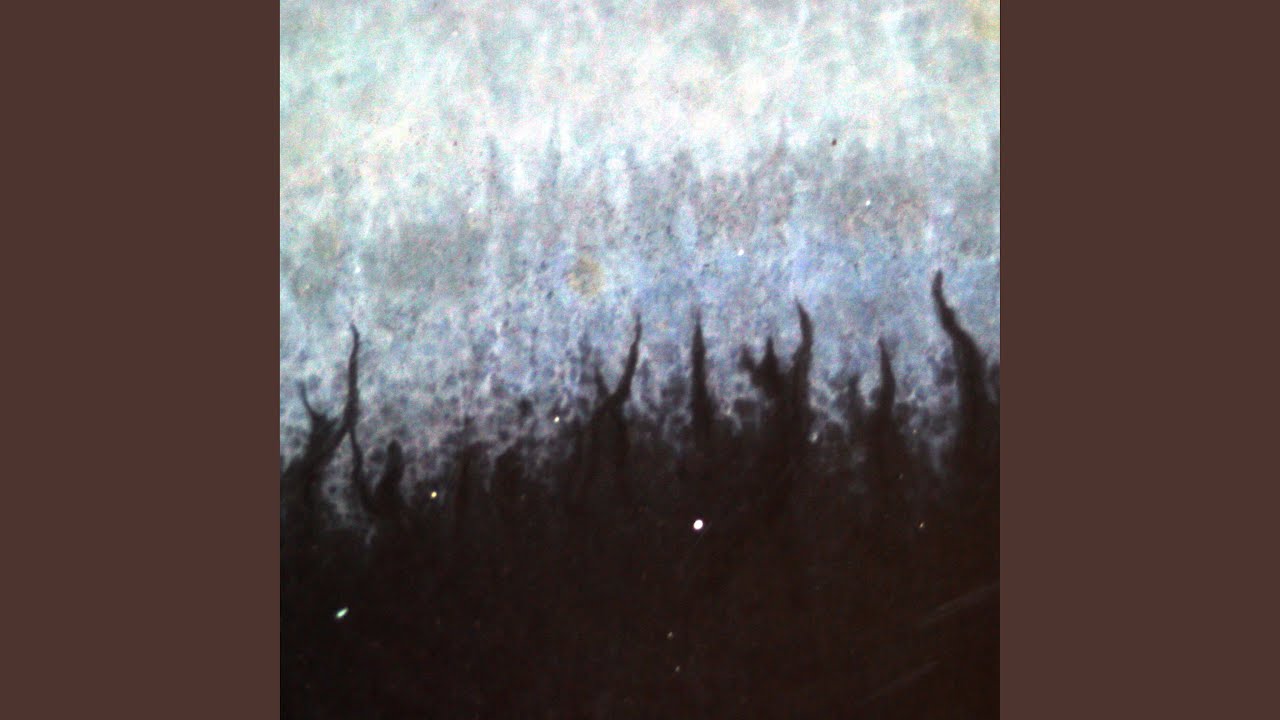 Scars of the Shattered Sky