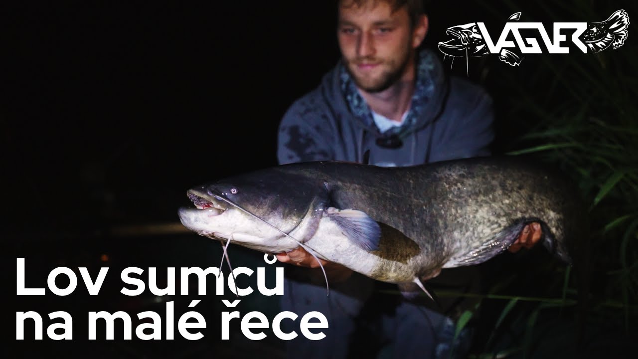 Jak chytat sumce na mal&eacute; řece | Tipy a triky s Luk&aacute;&scaron;em Herinkem