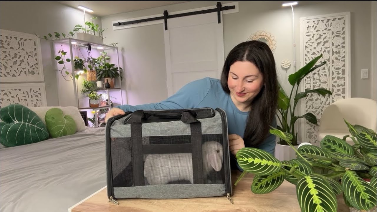 Travel in Comfort ✈️ Collapsable Soft-Sided Breathable Pet Carrier