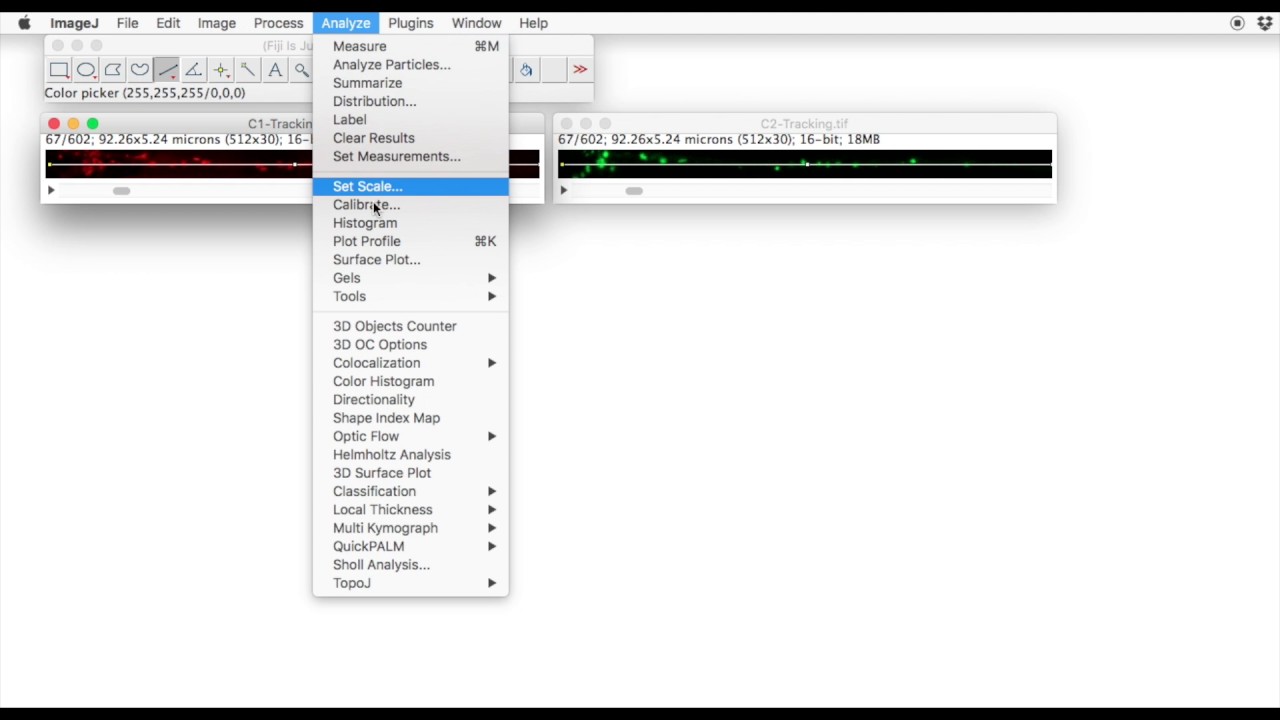 FIJI for Quantification: Kymograms