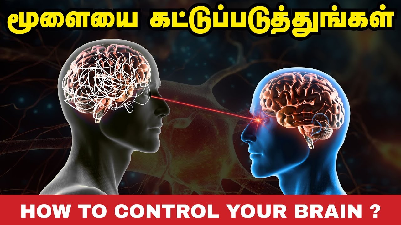 மூளையை கட்டுப்படுத்துங்கள் | How To Control Your Brain In Tamil | தமிழ்