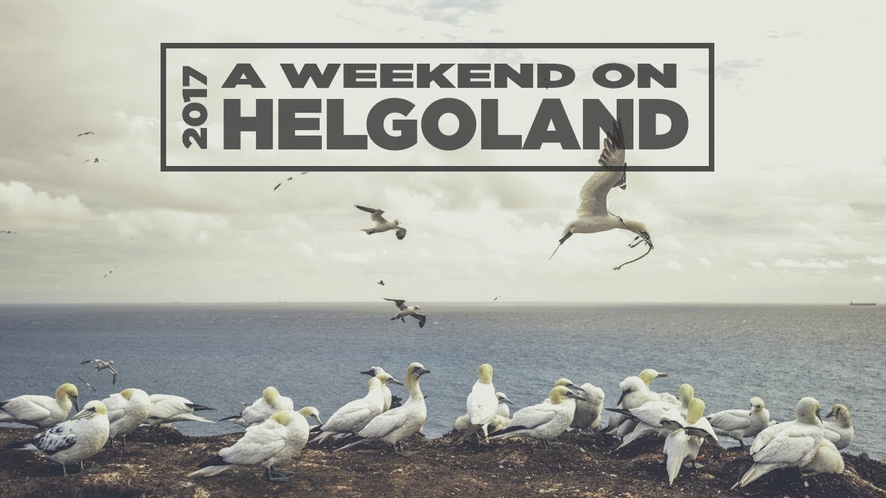 A weekend on Helgoland (HD) | Photography, Camping and Wildlife