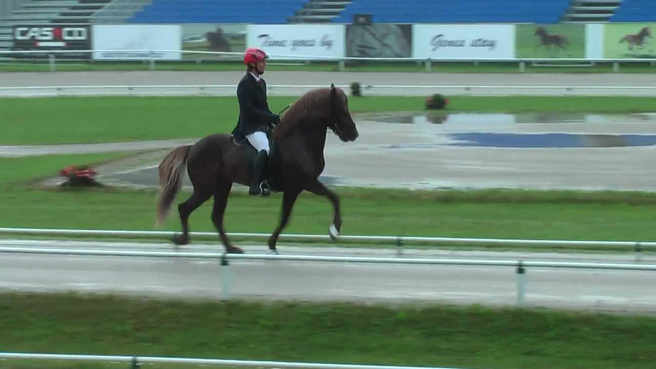 Kiljan frá Blesastöðum 1A, WK11T1