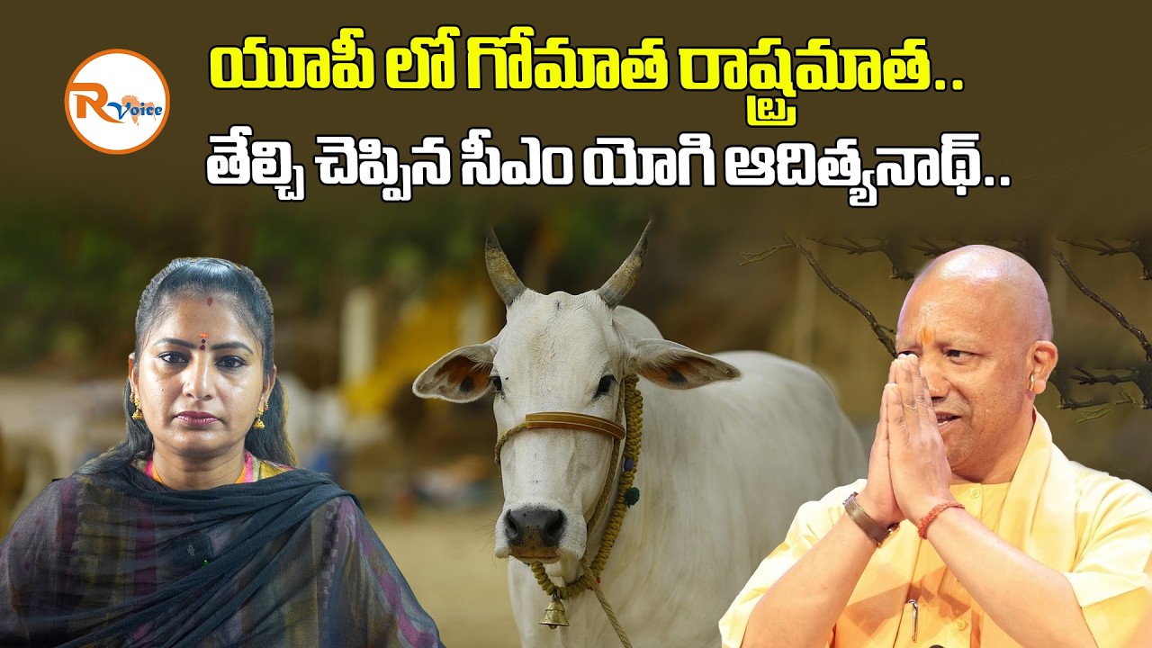 యూపీ లో గోమాత రాష్ట్రమాత..తేల్చి చెప్పిన సీఎం యోగి ఆదిత్యనాథ్ |Cow is 'Rashtra Mata' Yogi&rsquo;s Big Move