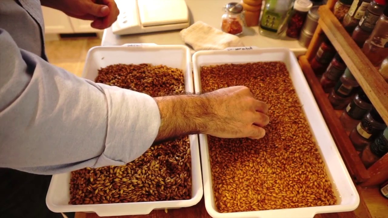 Un-aerated steeping Part 1