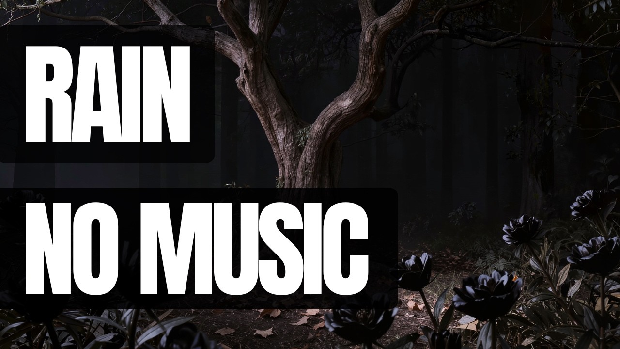 Dark Forest Rain Sounds at Night 🌧️ | Relaxing Rain Ambience for Sleep, Study & Deep Focus No Music